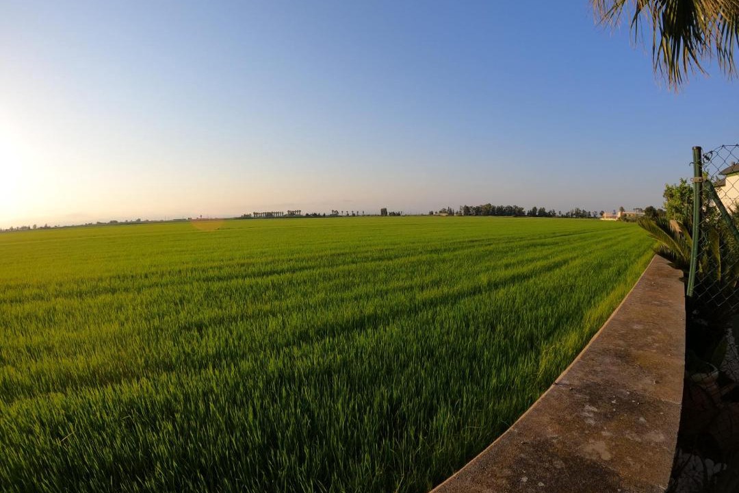 Photo of Outdoor in L'Eucaliptus