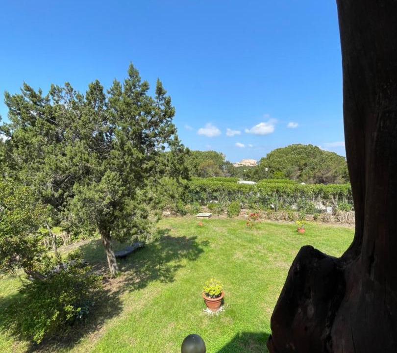 Photo of Others in Baja Sardinia