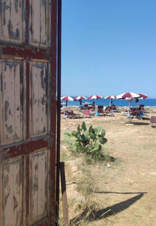 Photo of Others in Monopoli
