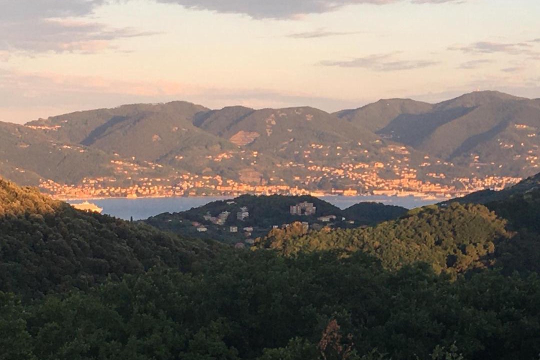 Photo of Others in Lerici