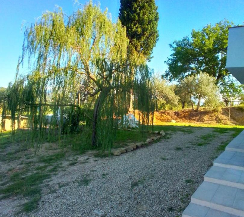 Photo of Outdoor in Monte San Savino