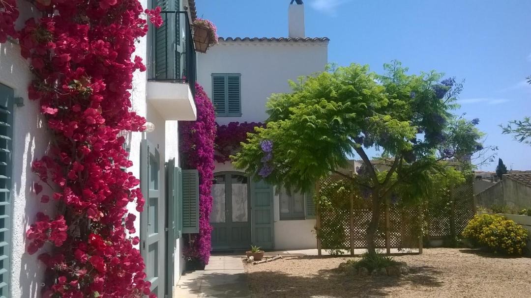 Photo of Buildings in Sant Vicenc de Montalt