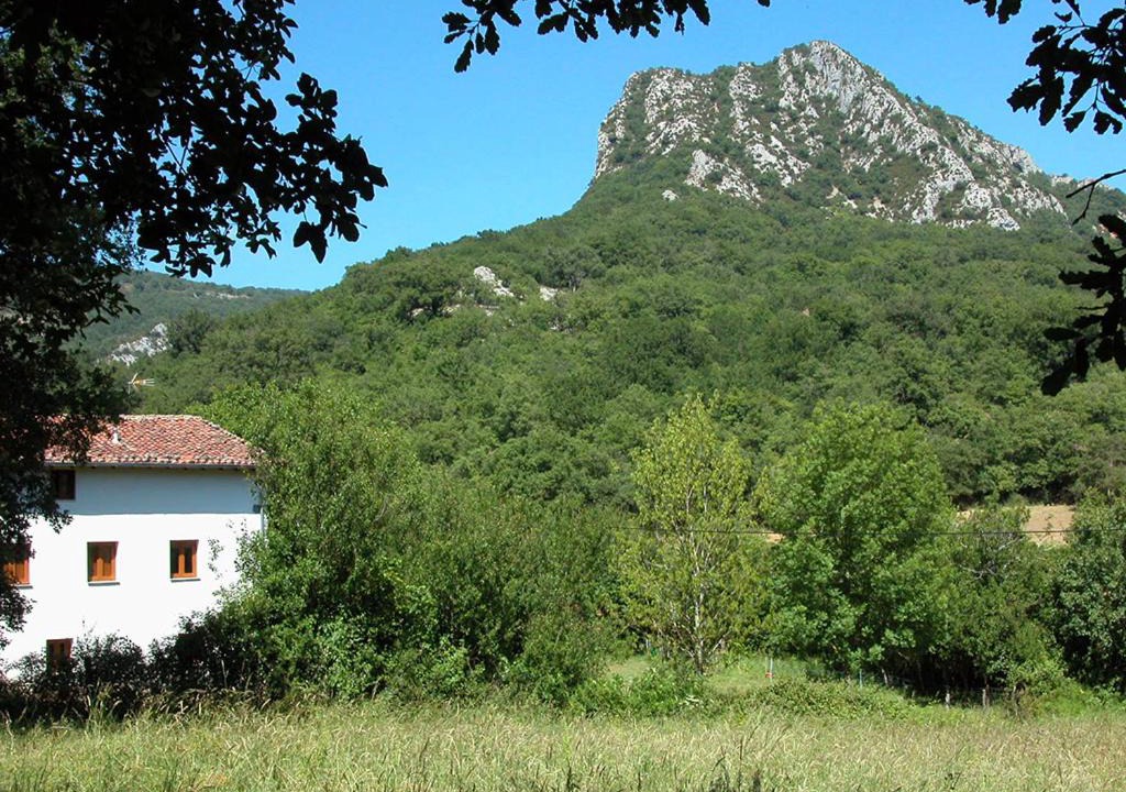 Photo of Buildings in Iraneta