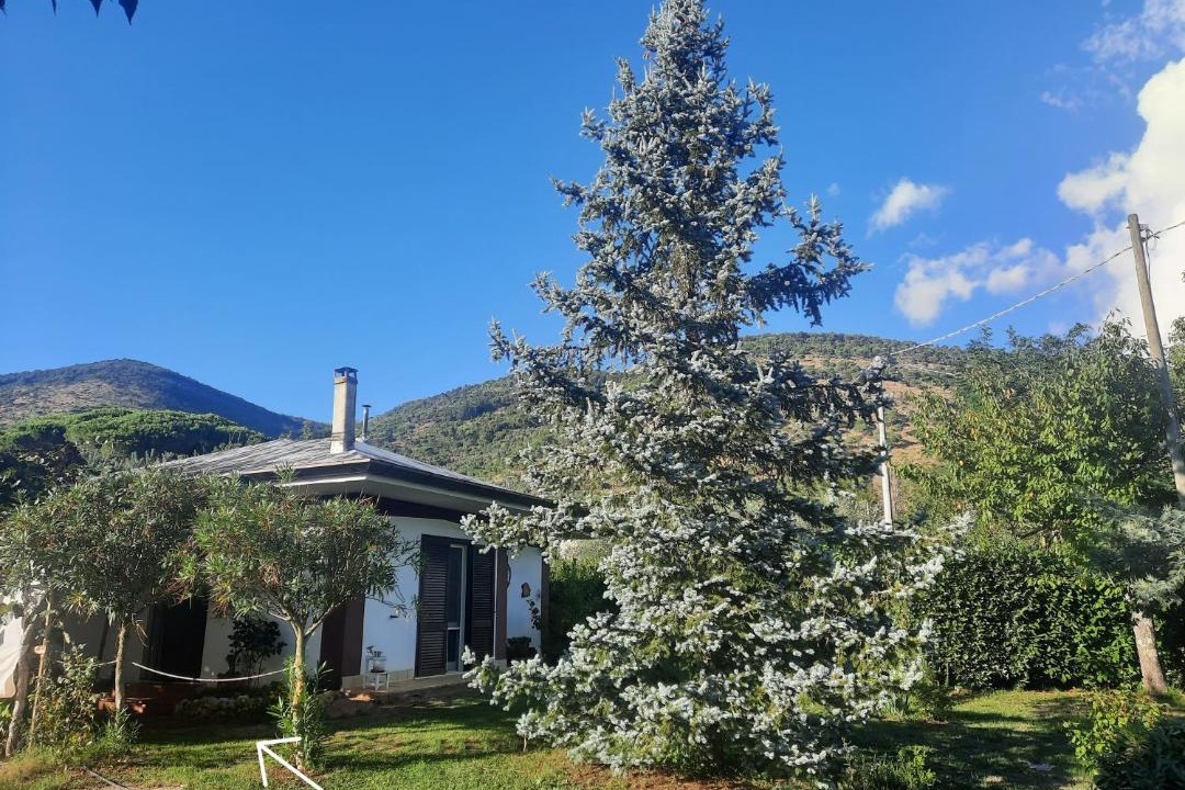 Photo of Outdoor in Sezze