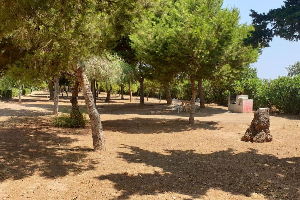 Photo of Outdoor in Los Belones