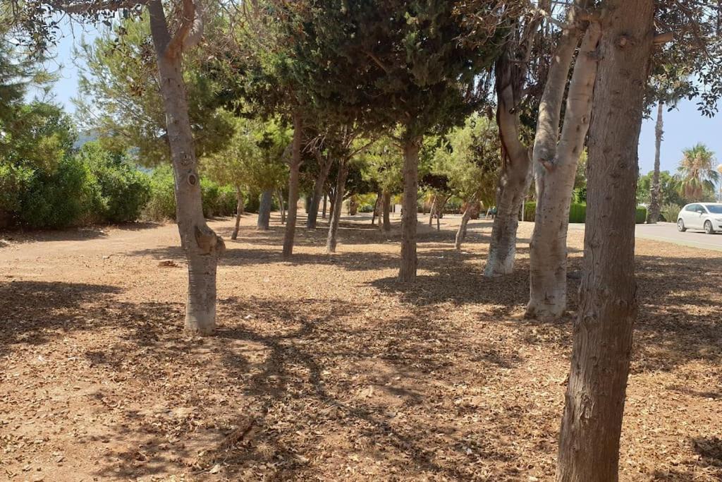 Photo of Outdoor in Los Belones