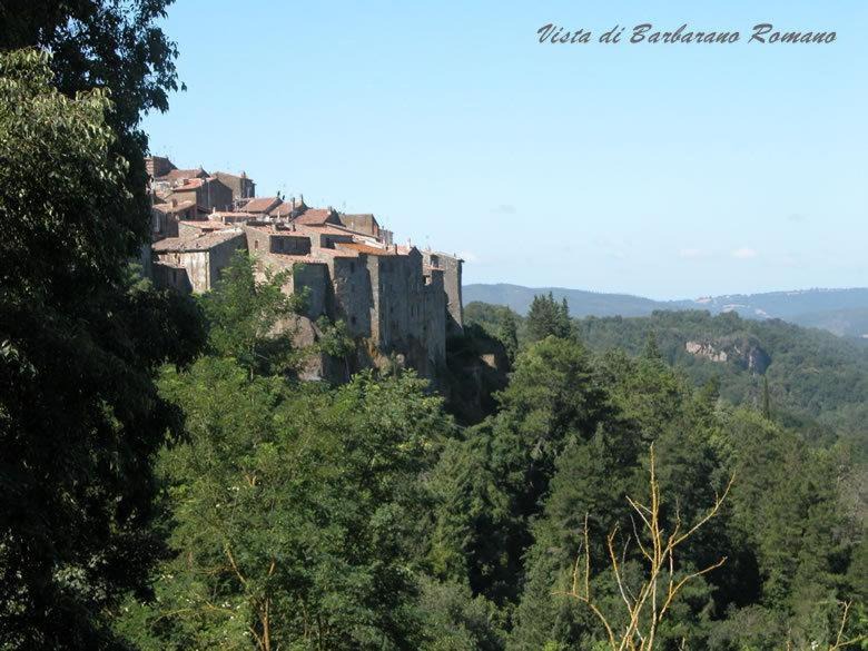 Photo of Others in Barbarano Romano
