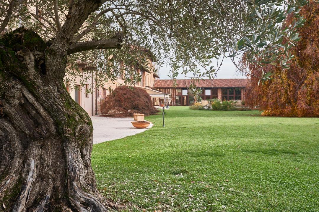 Photo of Others in Sandigliano