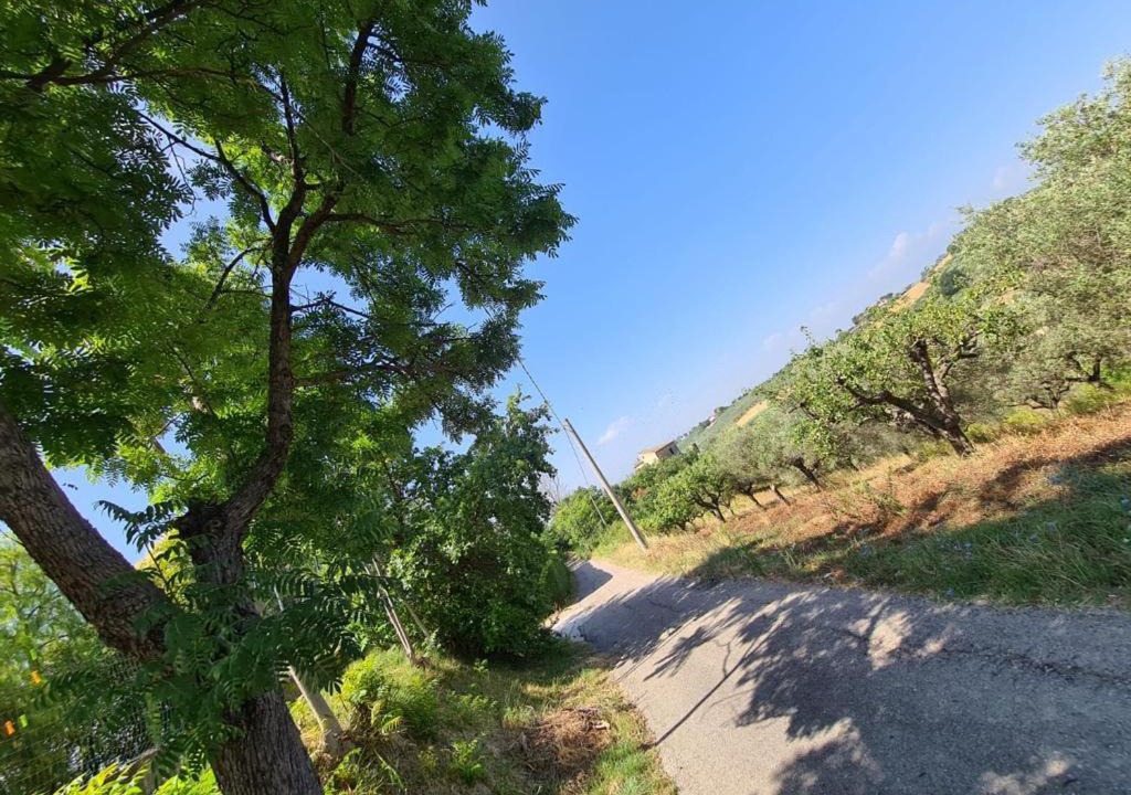Photo of Outdoor in Spoltore