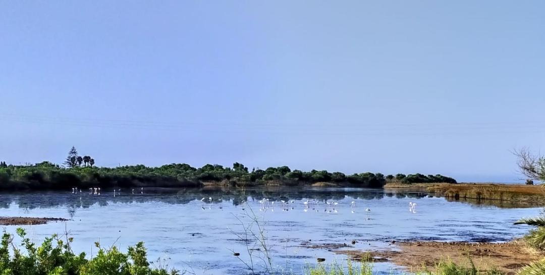 Photo of Outdoor in Granelli