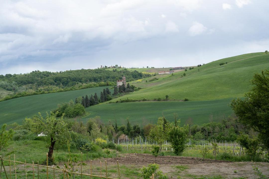 Photo of Others in Casale Monferrato