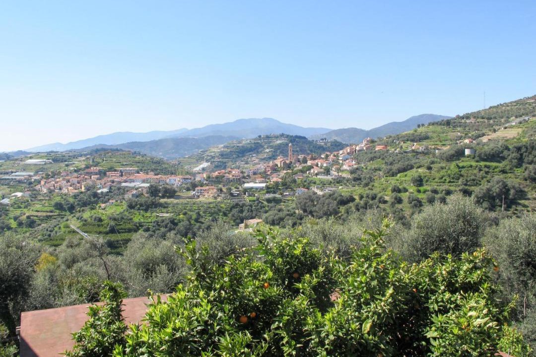 Photo of Others in Terzorio
