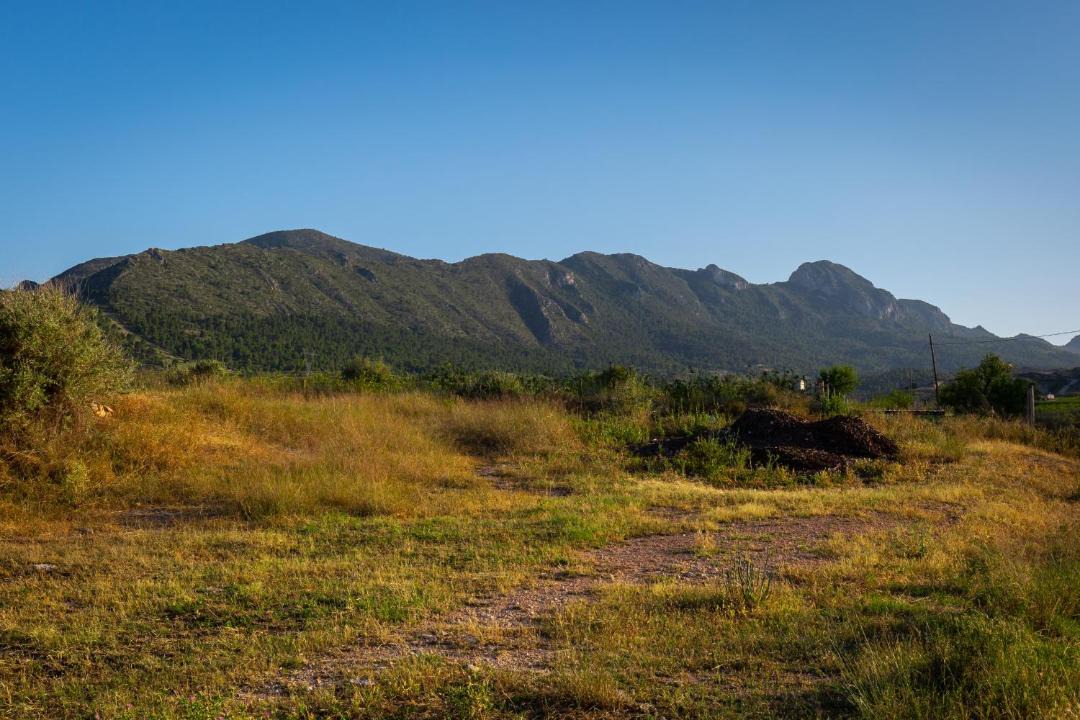 Photo of Outdoor in La Romana