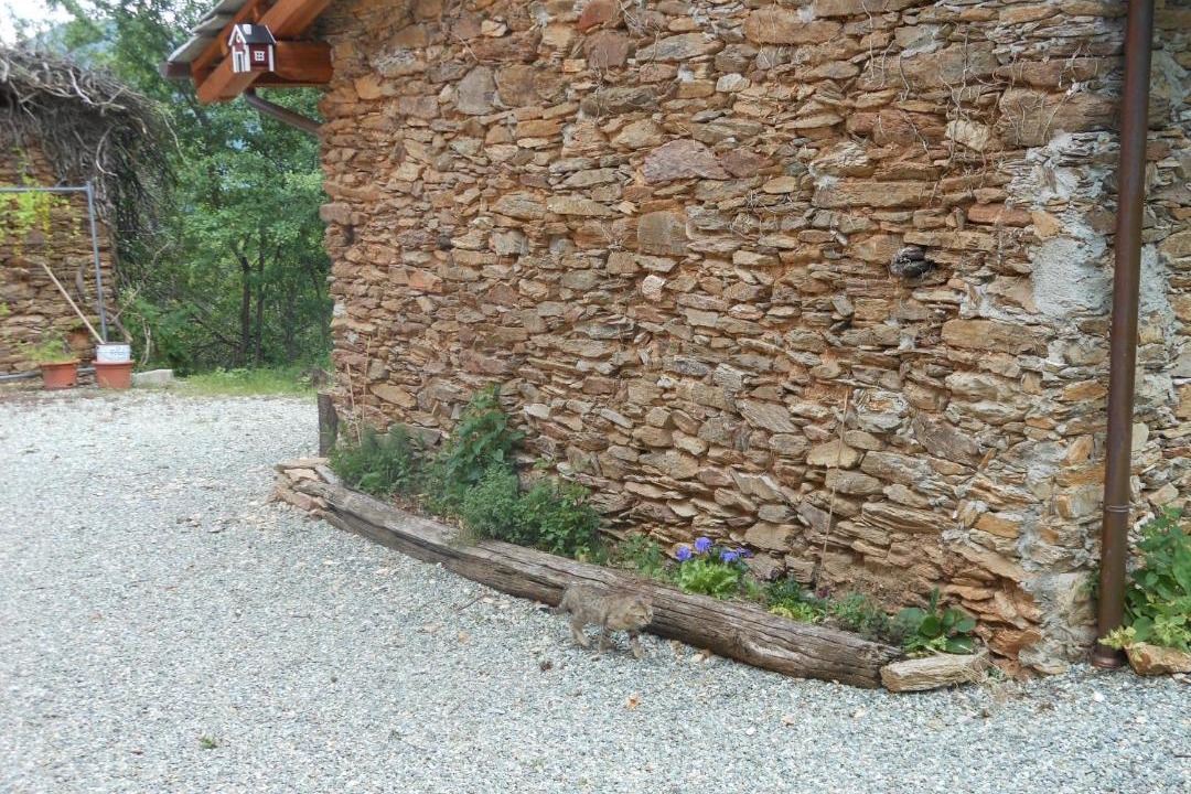 Photo of Others in Venasca