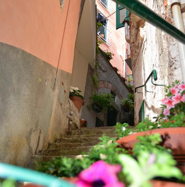 Photo of Others in Riomaggiore