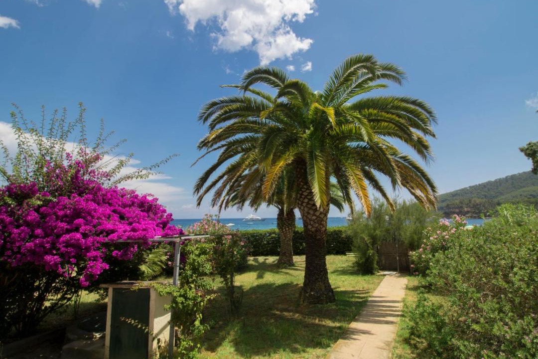 Photo of Outdoor in Capoliveri