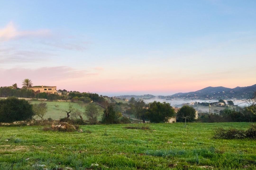 Photo of Outdoor in Son Macia