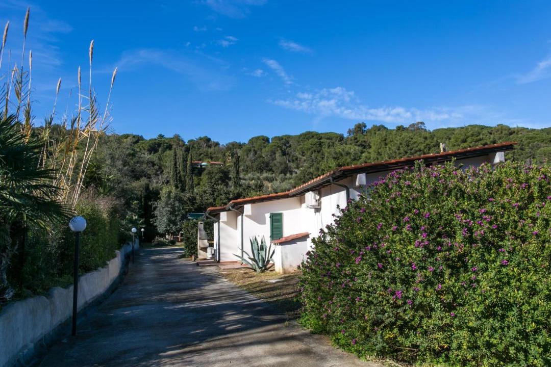 Photo of Others in Capoliveri