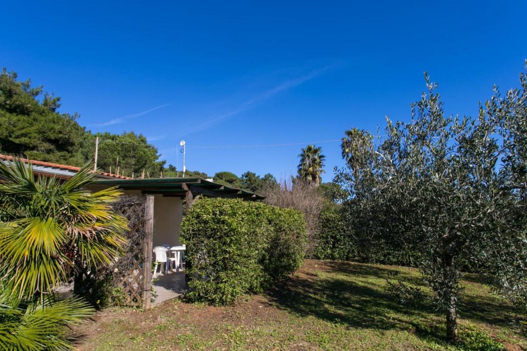 Photo of Others in Capoliveri