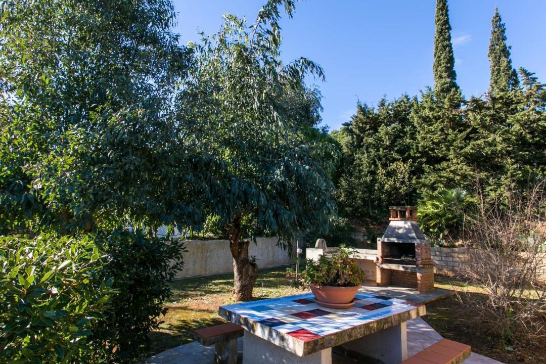 Photo of Others in Capoliveri