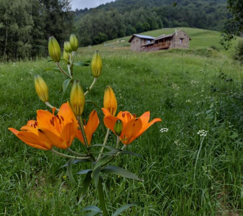 Photo of Others in Chiusa di Pesio