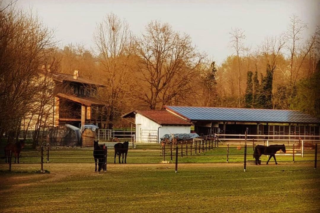 Photo of Others in Cossano Canavese