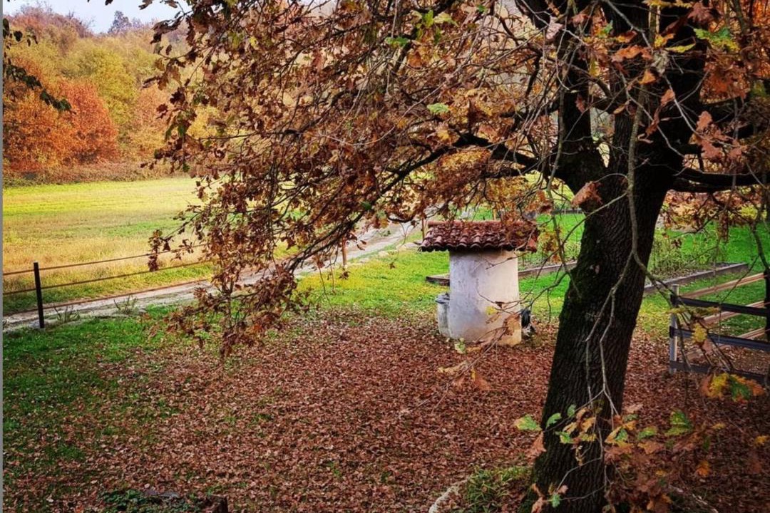 Photo of Others in Cossano Canavese