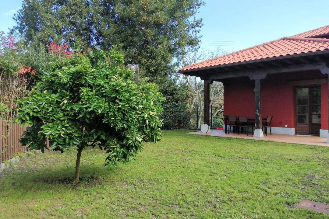 Photo of Others in Llamigo