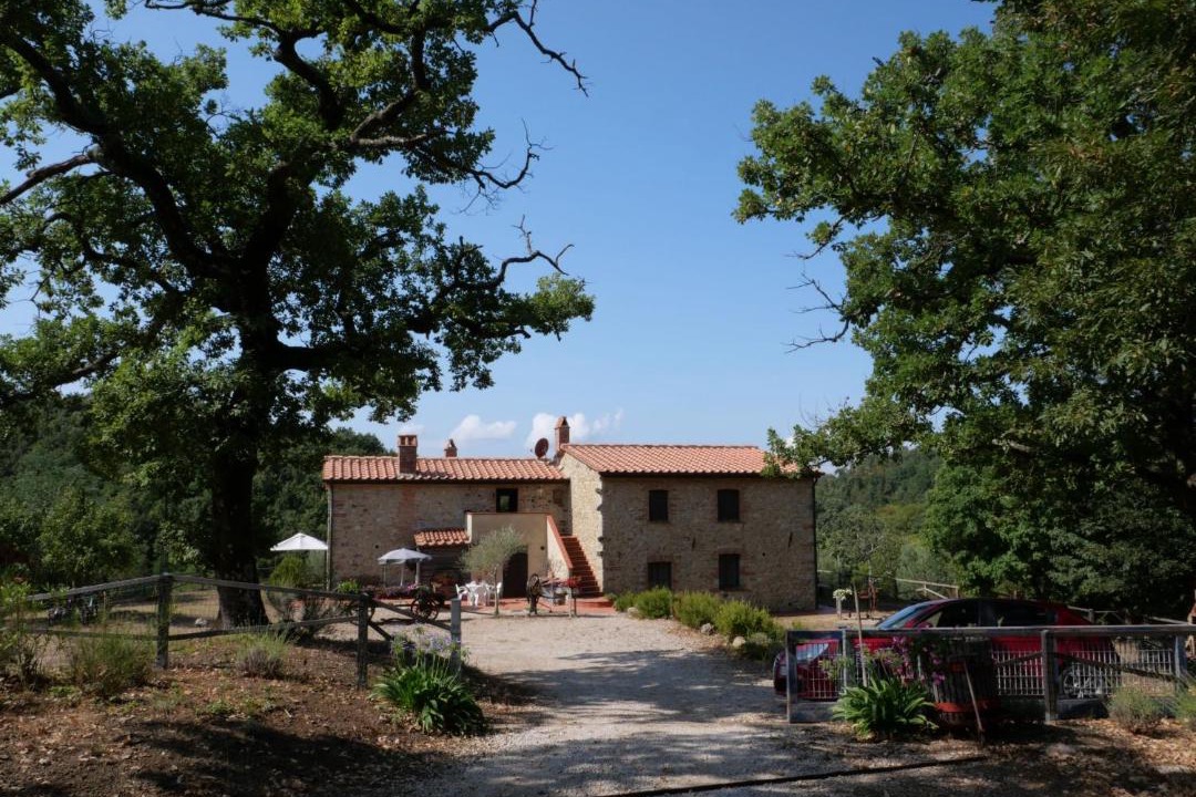 Photo of Others in Massa Marittima