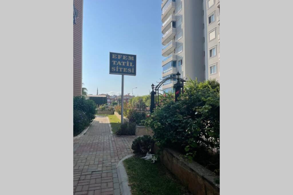 Photo of Buildings in Tosmur Belediyesi