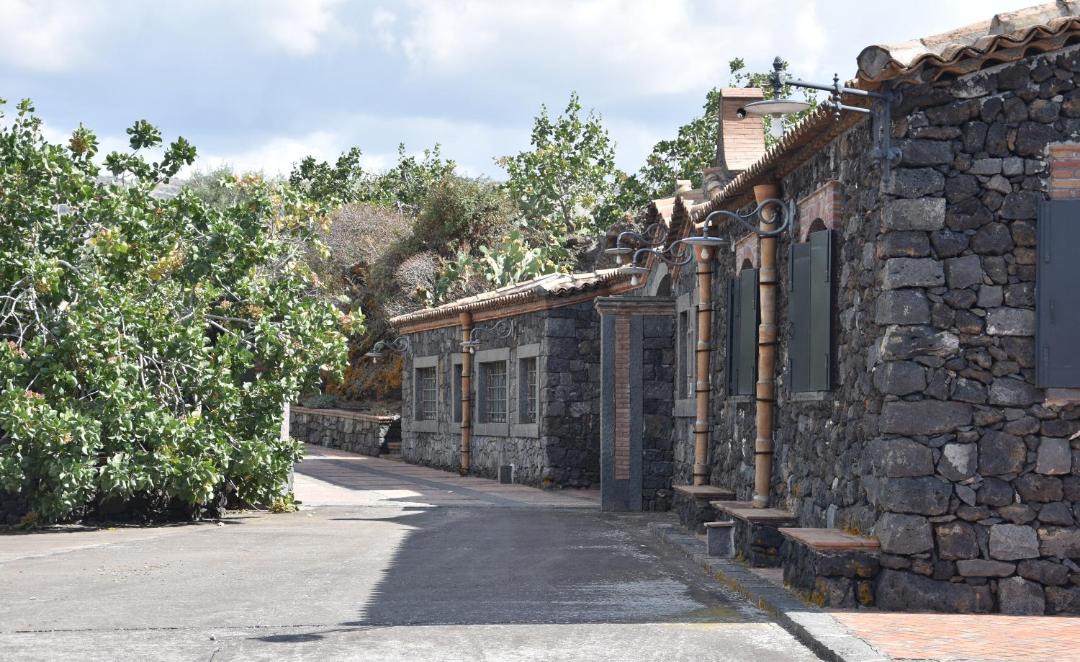 Photo of Buildings in Bronte