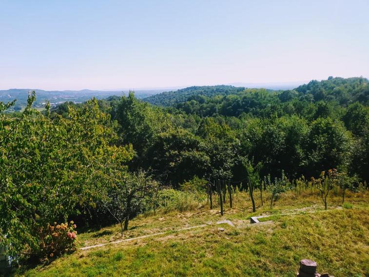 Photo of Others in Castellamonte