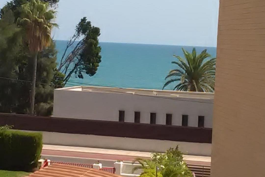 Photo of Others in Benicassim