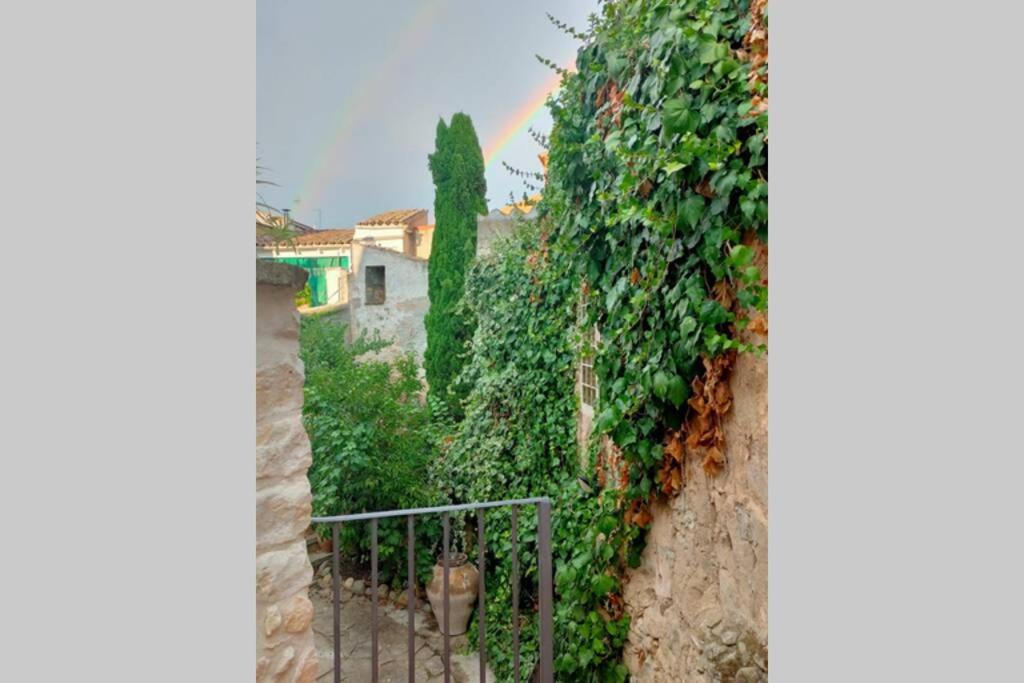 Photo of Others in Cervia de Les Garrigues