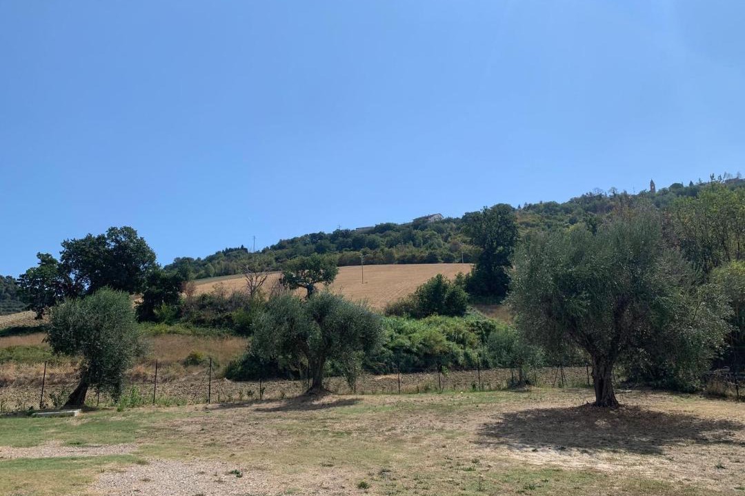 Photo of Others in Campofilone