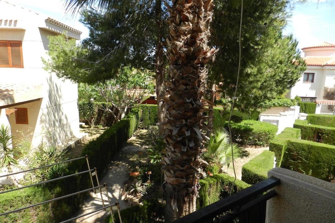 Photo of Others in Orihuela Costa