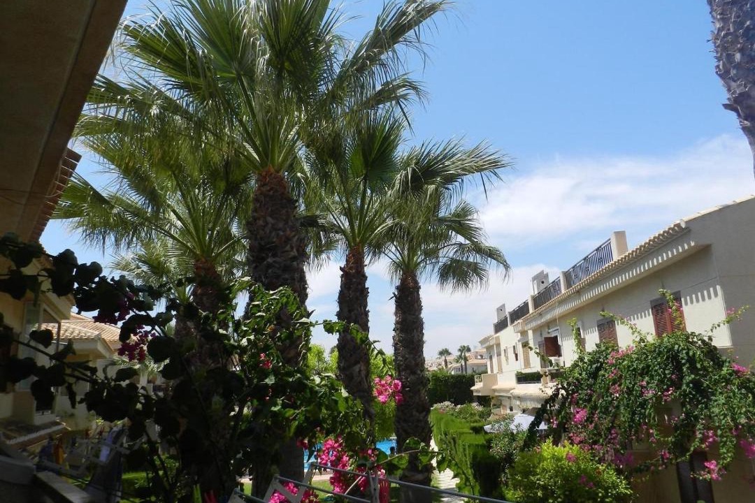 Photo of Others in Orihuela Costa