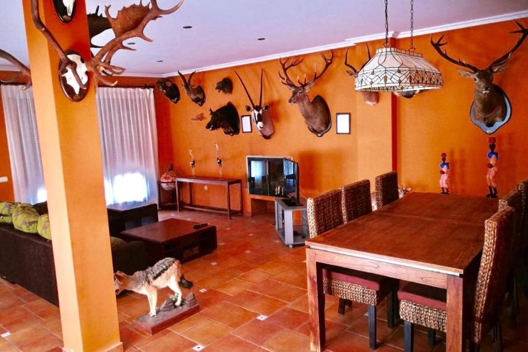 Photo of Livingroom in Arcas del Villar