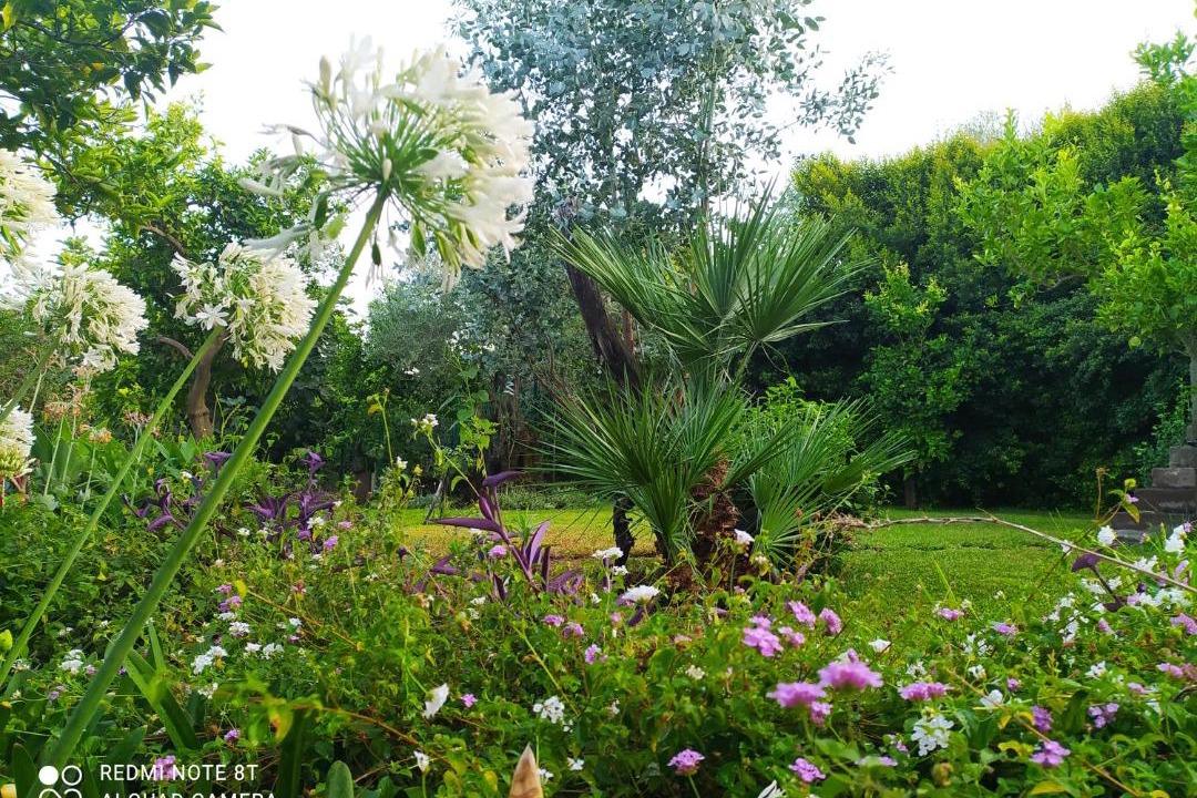 Photo of Outdoor in Aci Sant'Antonio
