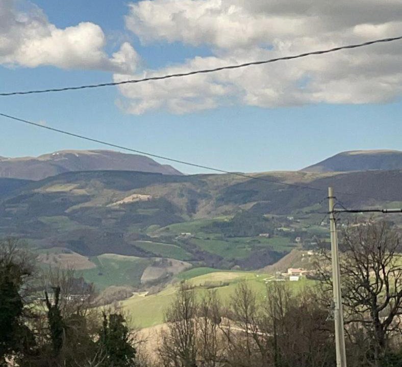 Photo of Others in Camerino