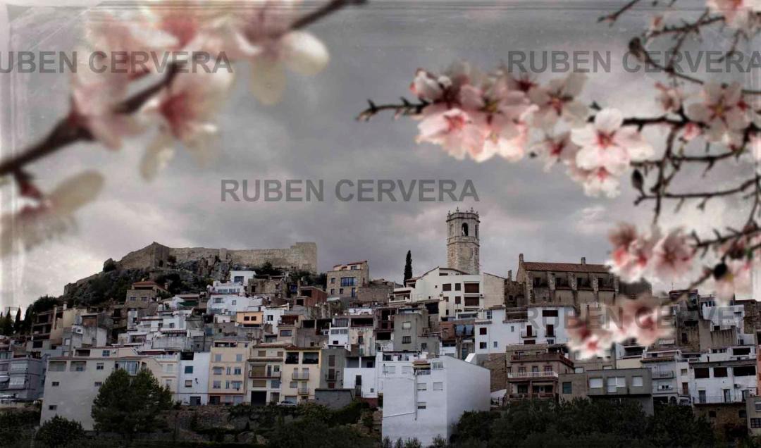 Photo of Buildings in Cervera del Maestrat
