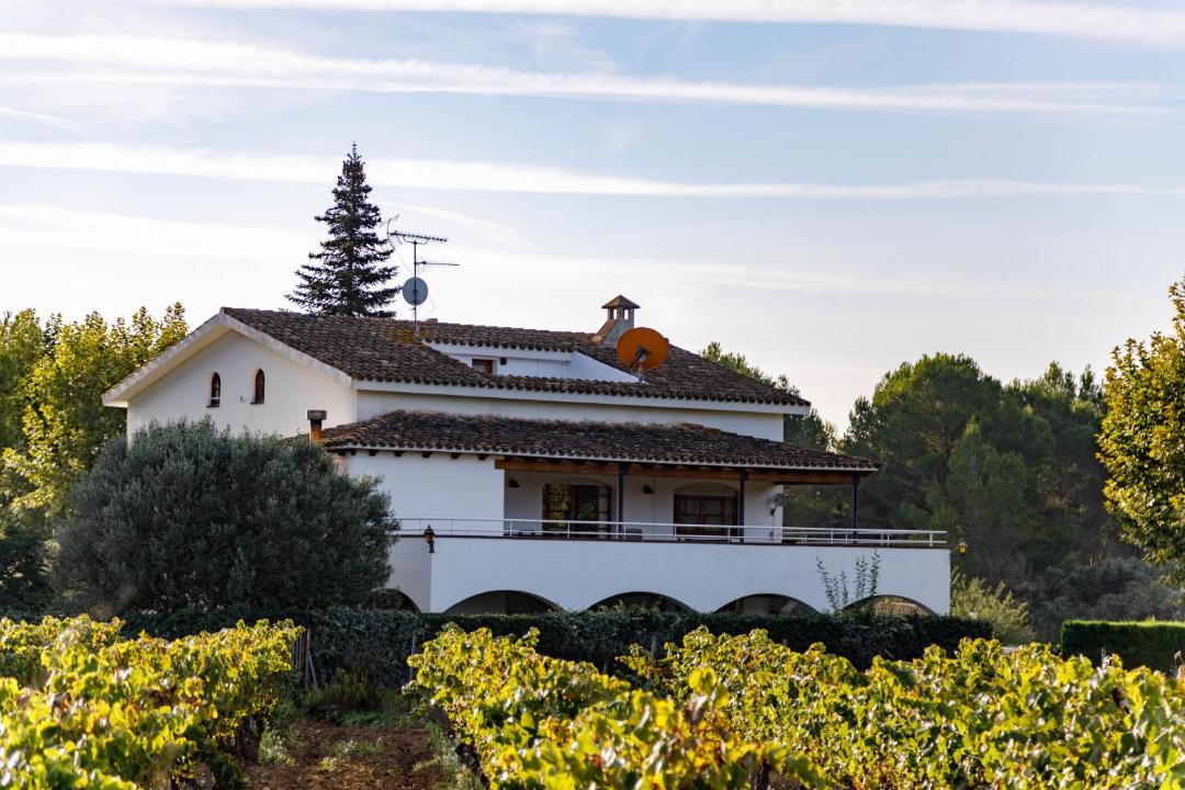 Photo of Others in El Pla del Penedes