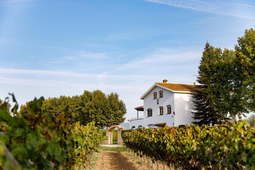 Photo of Others in El Pla del Penedes