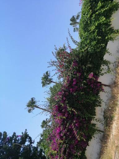 Photo of Outdoor in Okurcalar