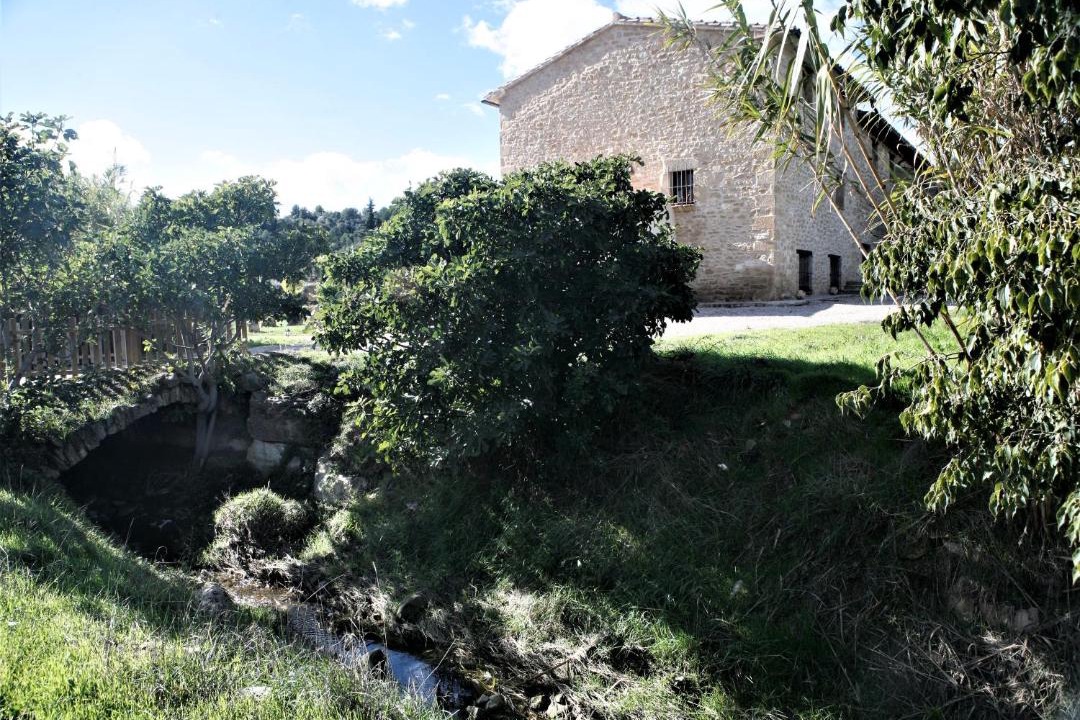 Photo of Others in Cretas