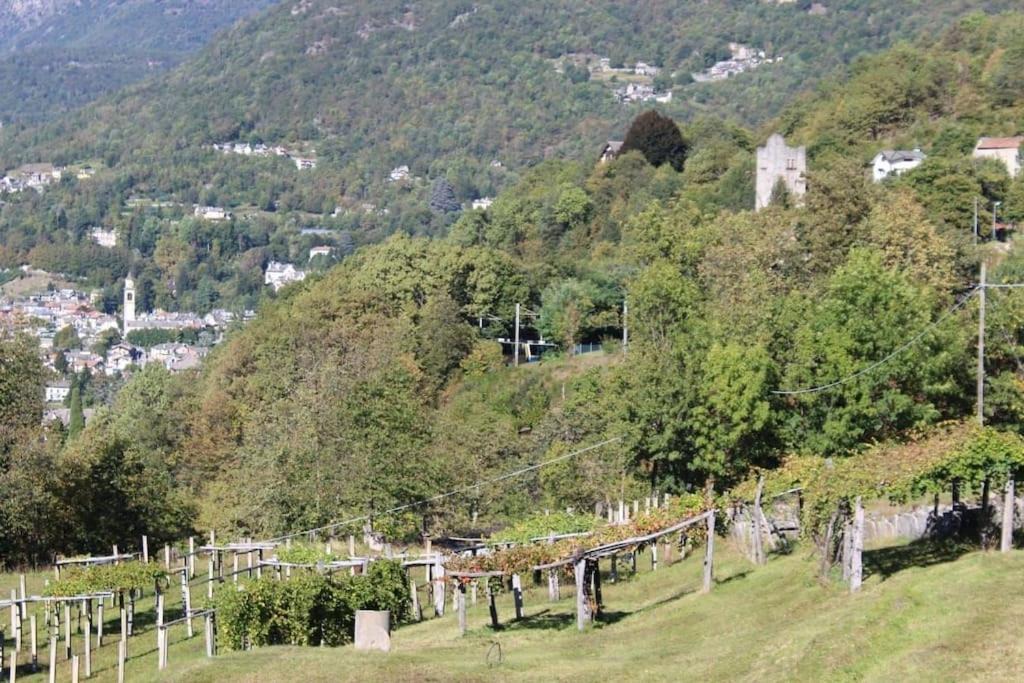 Photo of Others in Trontano