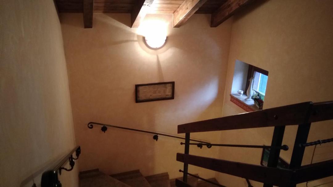 Photo of Others in Castiglione Olona