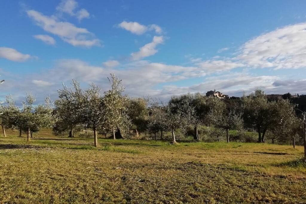 Photo of Others in Treia
