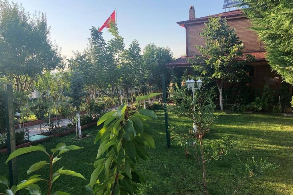Photo of Outdoor in Cinarcik