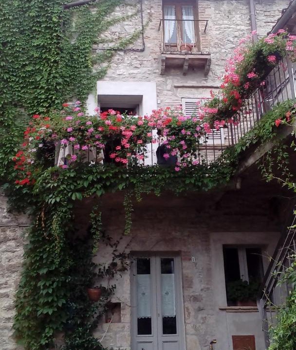 Photo of Buildings in Collelungo